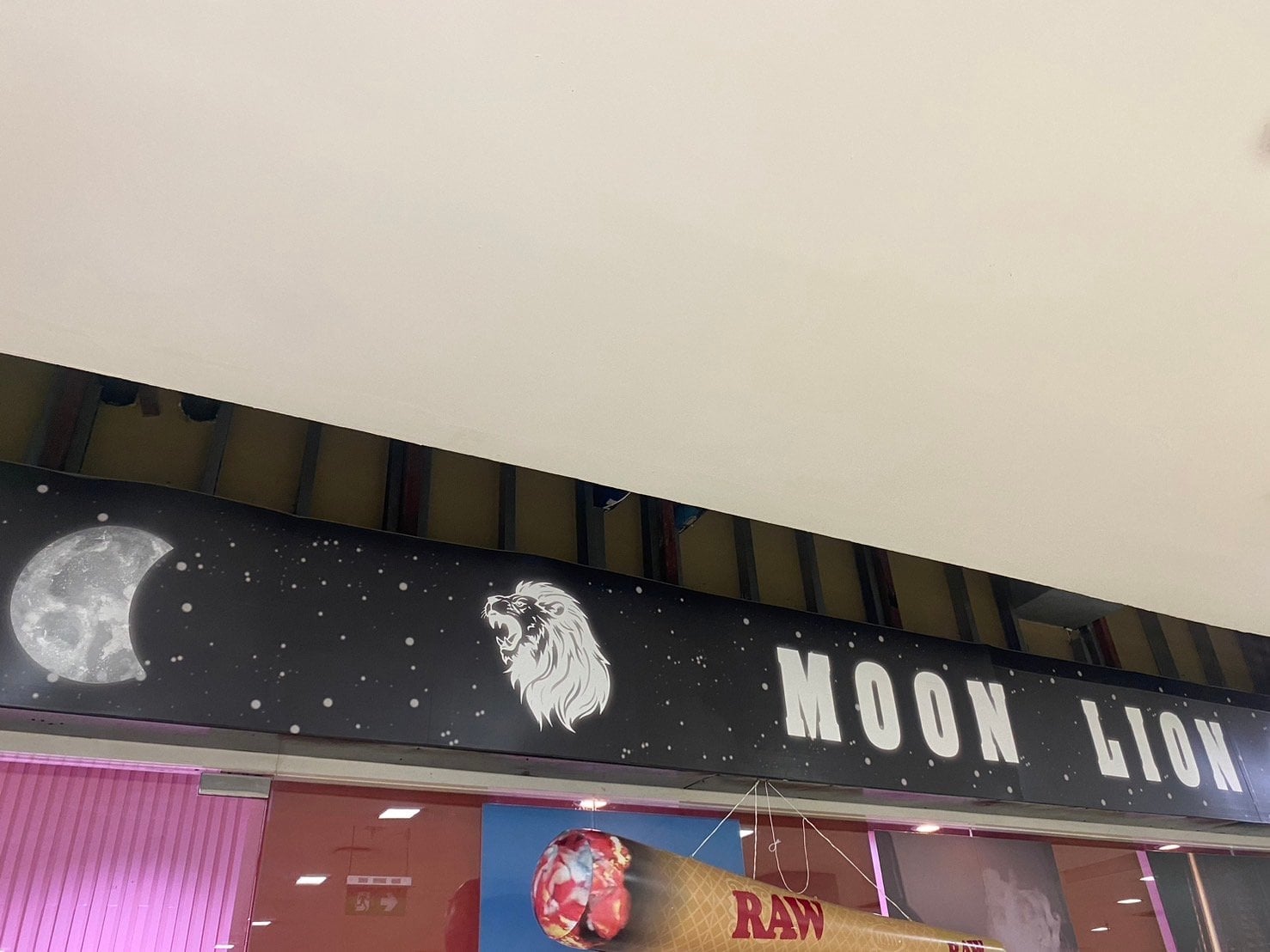 Moon Lion