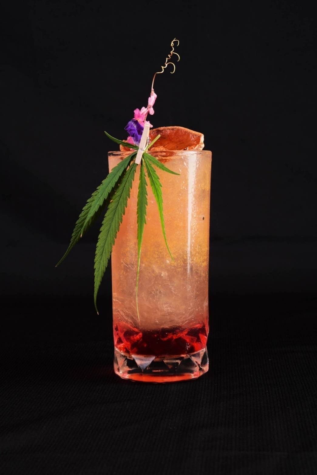 Cannabis Circus Cafe