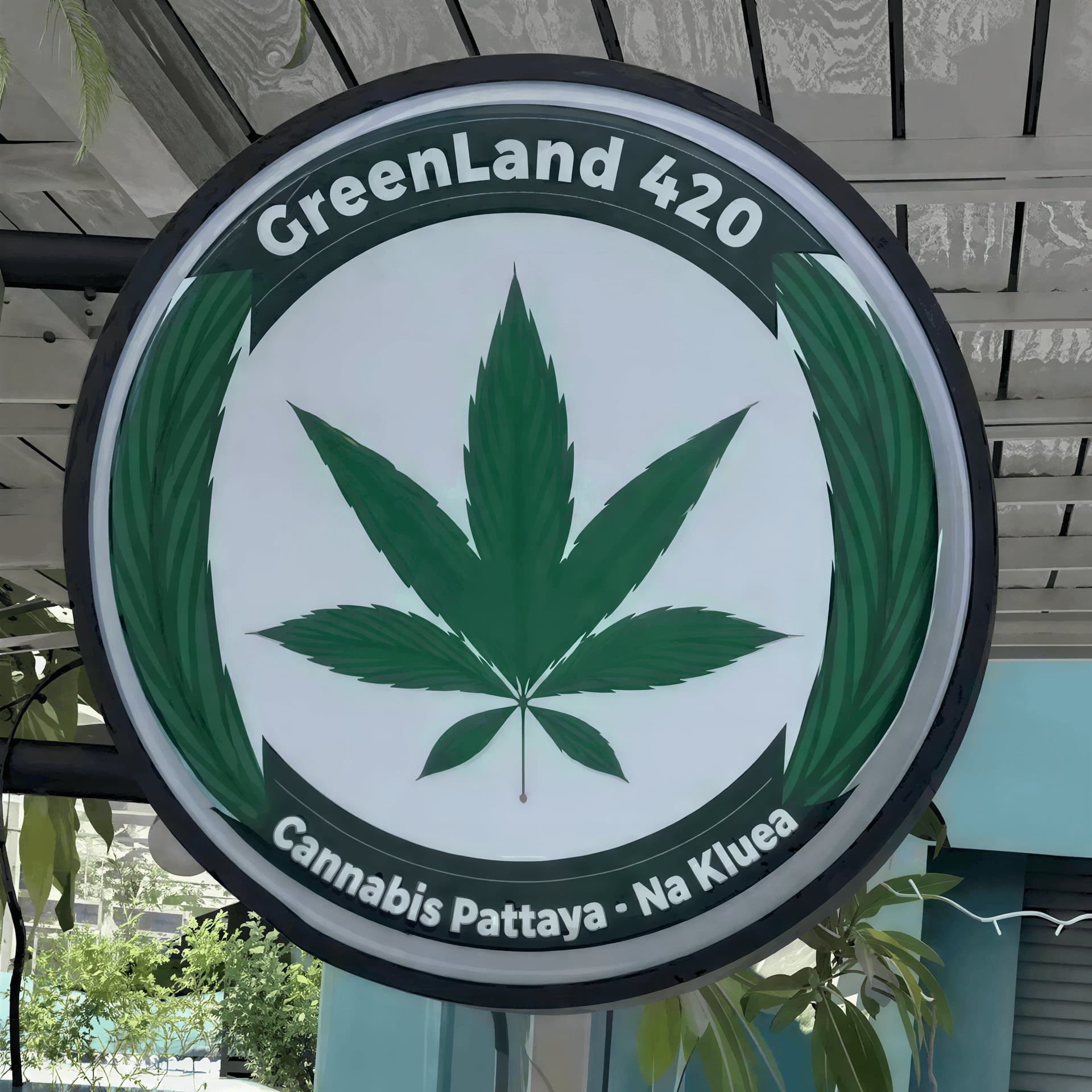 Weed-Greenland 420 Cannabis Pattaya - Na Kluea