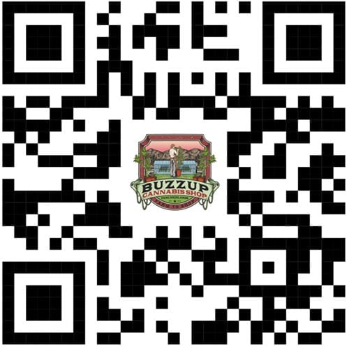 Buzzup Cannabis Shop & Guesthouse - Fang's Unique Terroir & Terpene-Rich