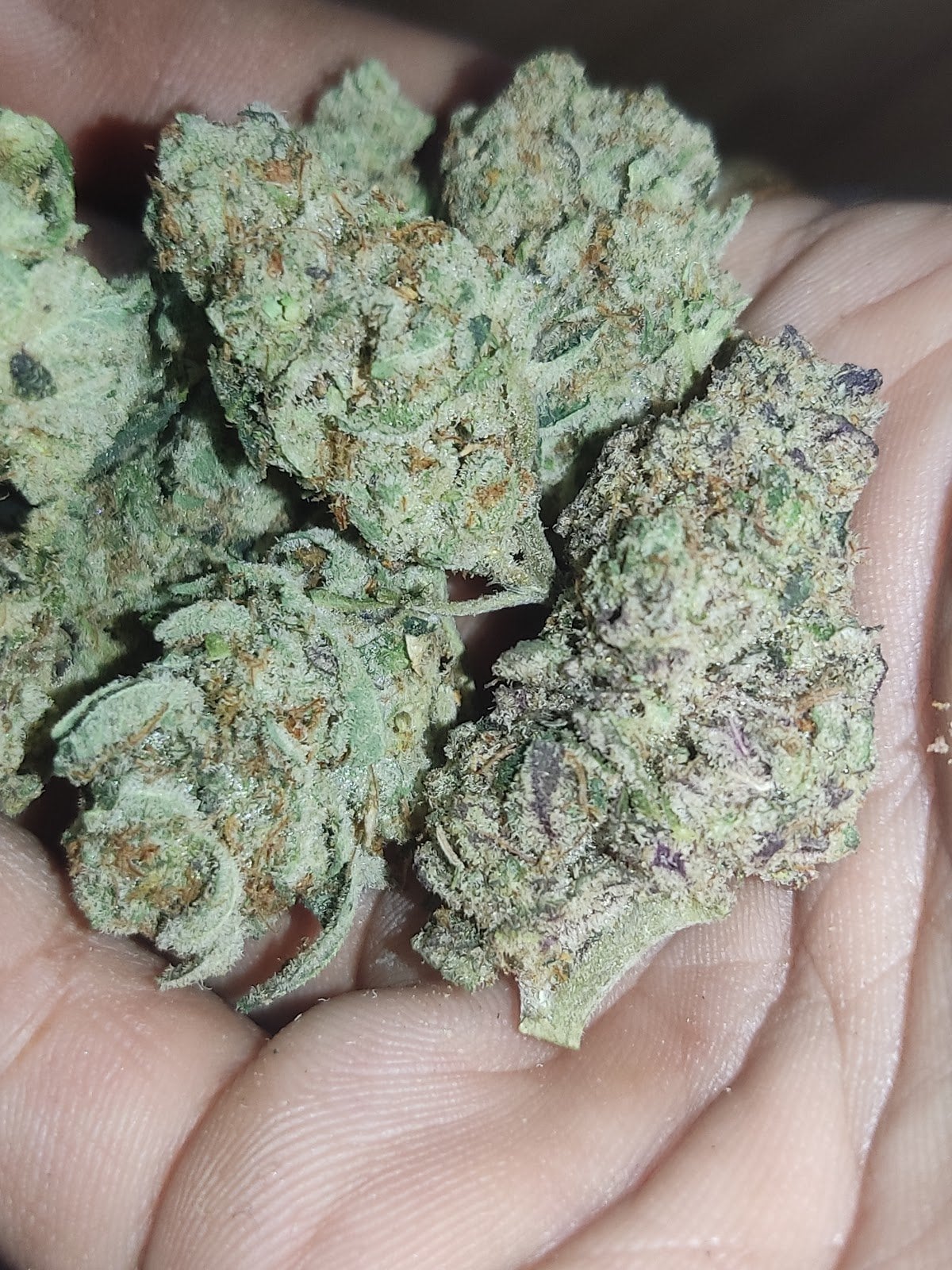 Storeseri Cannabis V1