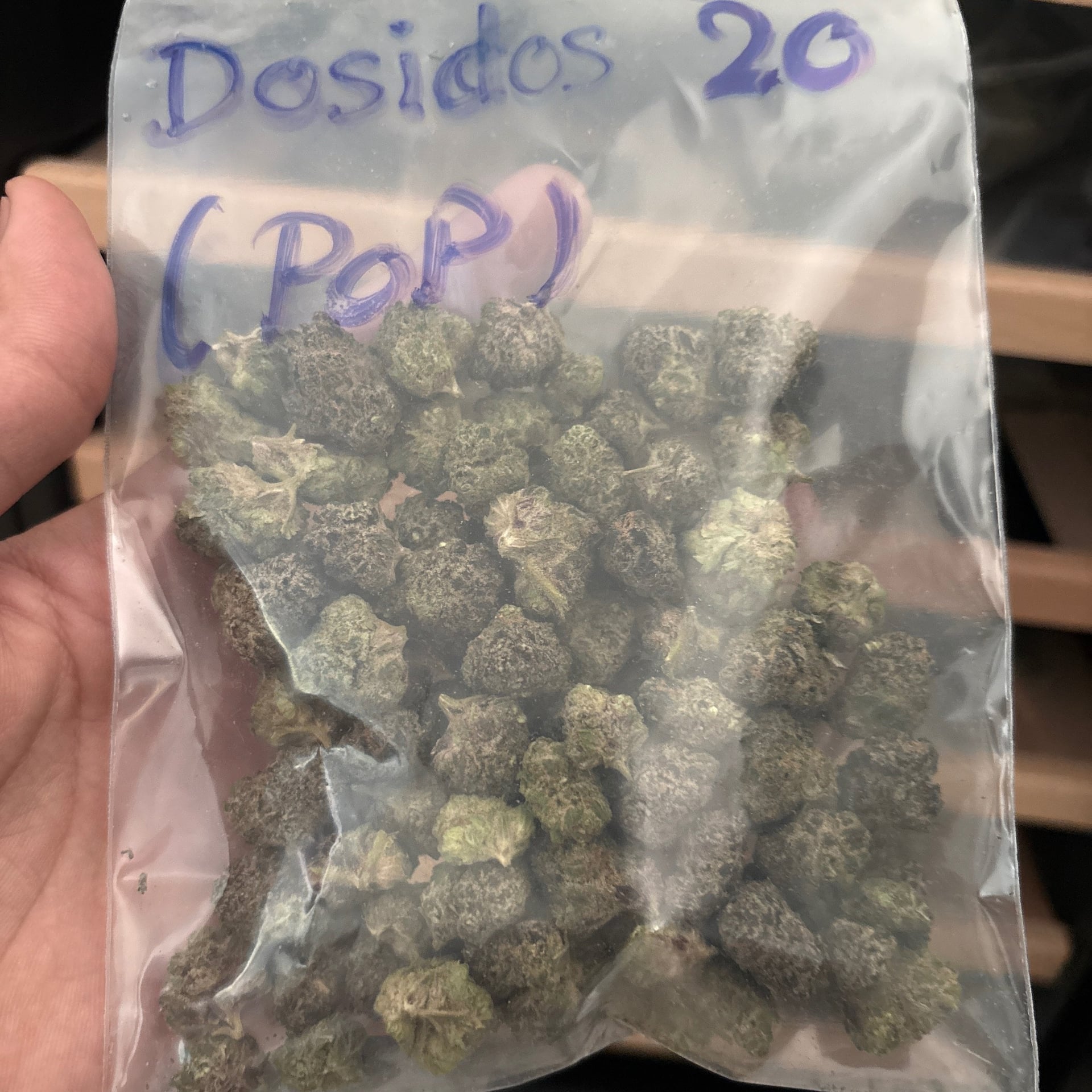 Sleepweed Cannabis Cafe'