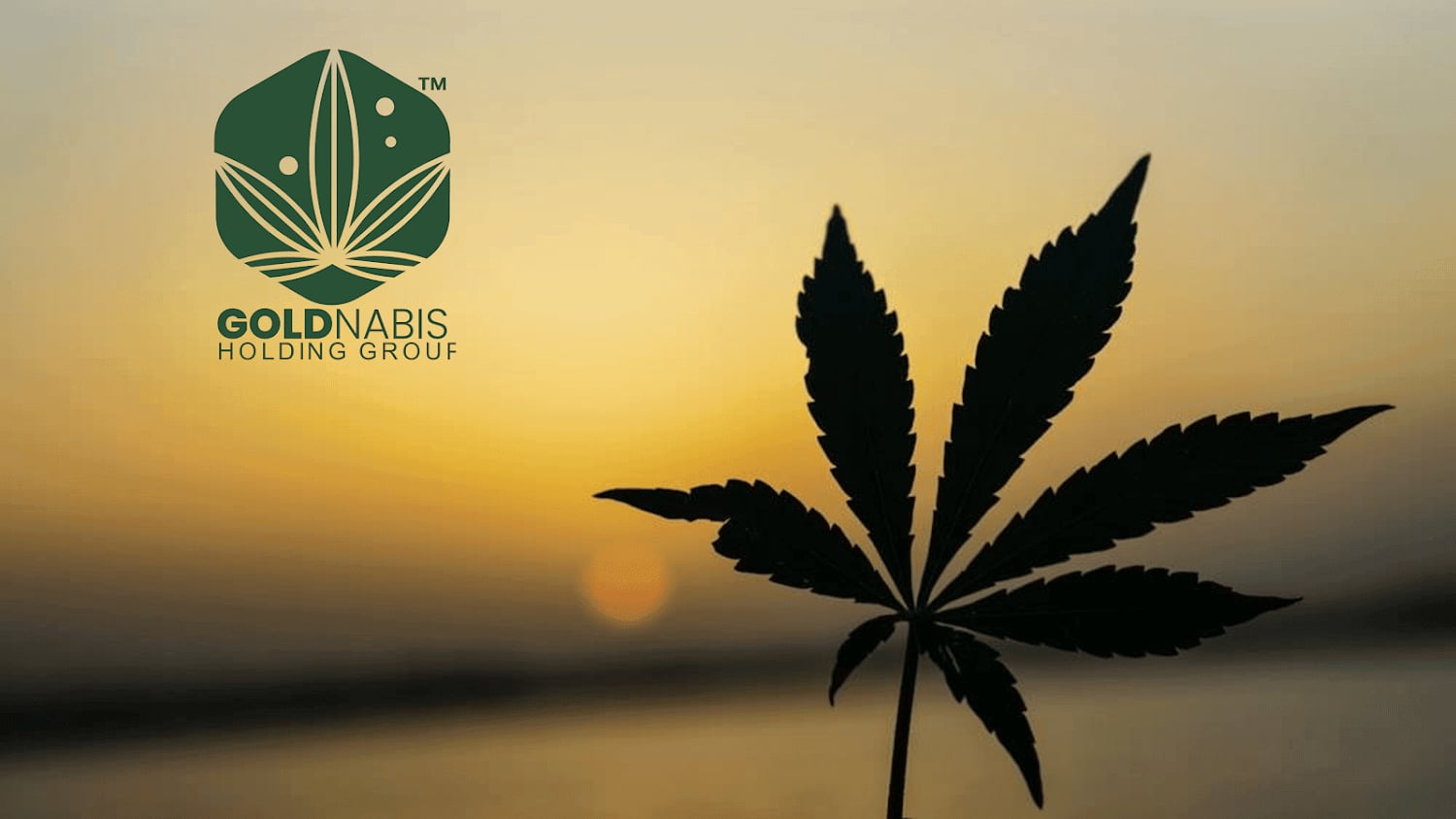 Goldnabis Group