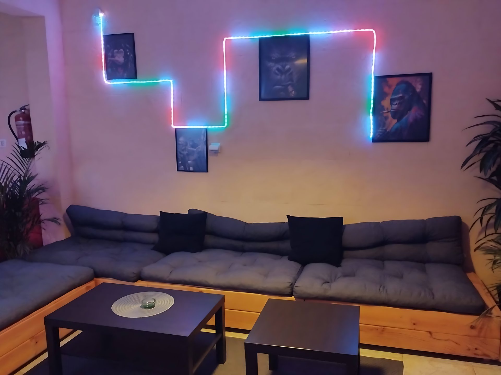 Cali Club