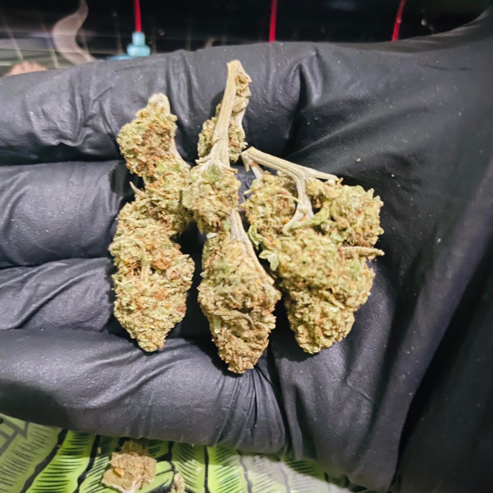 OKD Weed Station