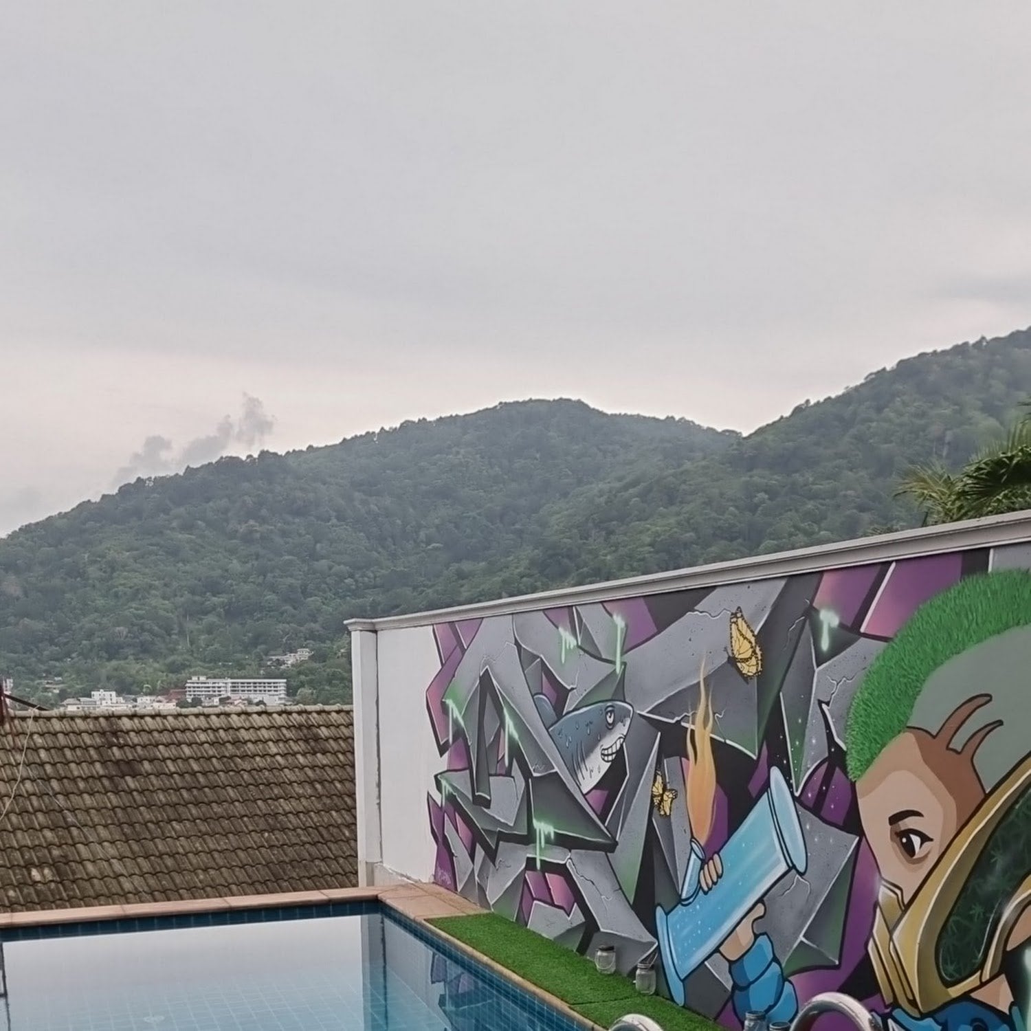 Blow Patong : Premium Quality Weed And Cannabis Coffeeshop In Phuket