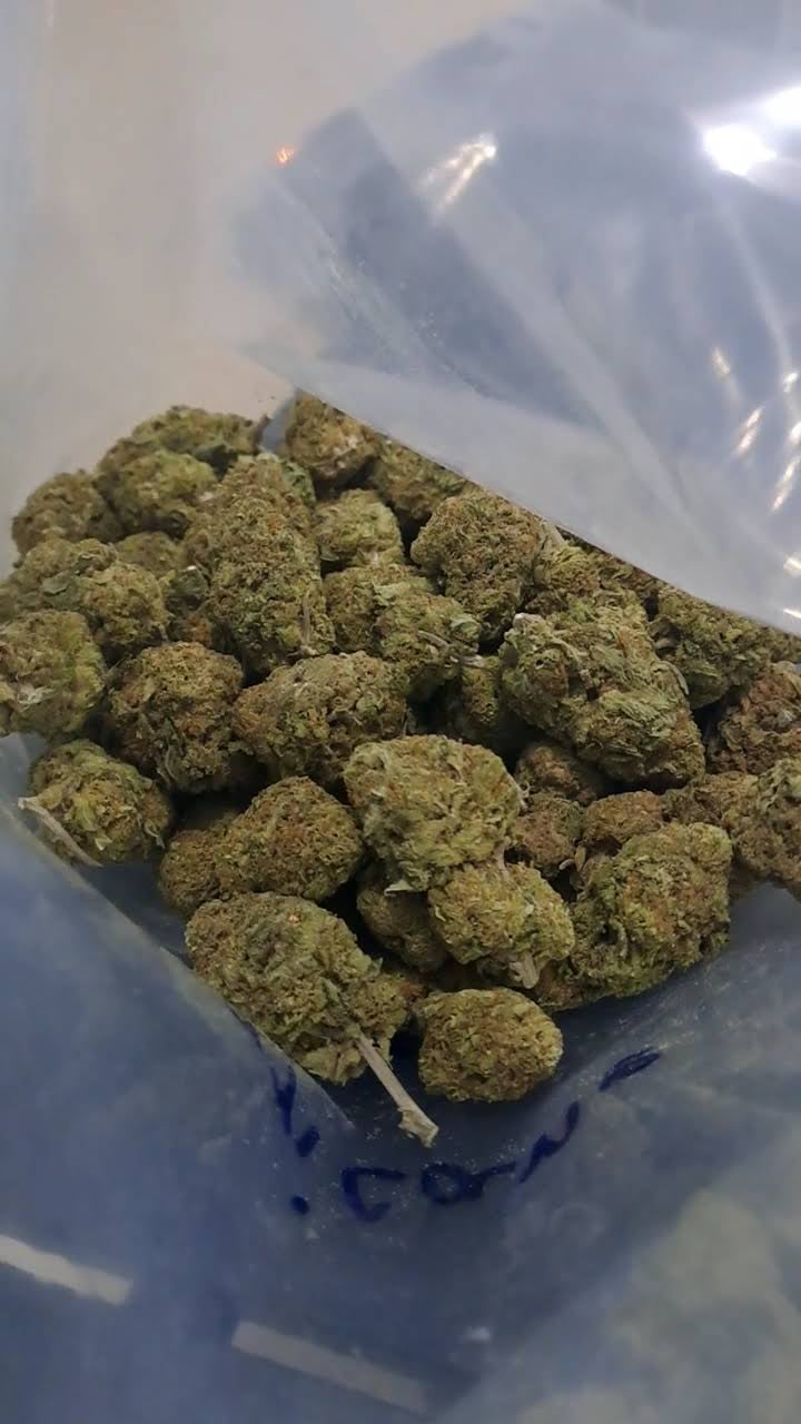 ST Cannabiz