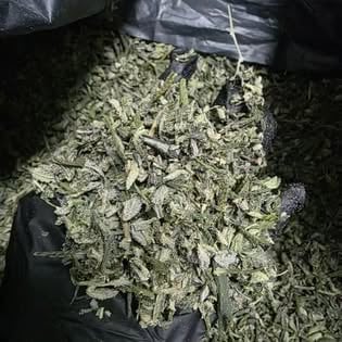 Overdose BKK