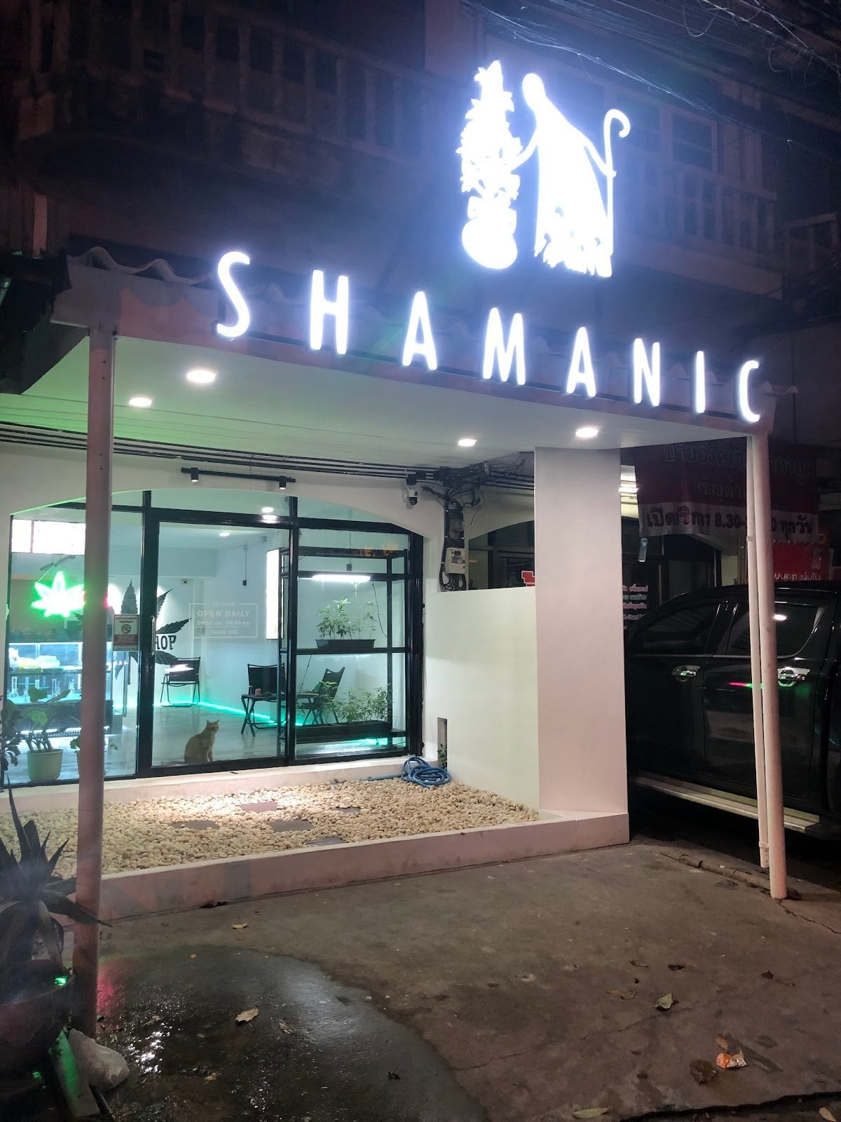 Shamanic