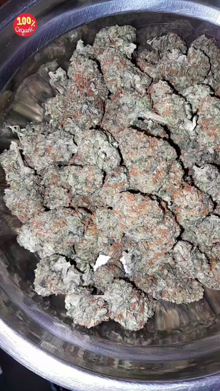 Bongsai Shop: Express Medical