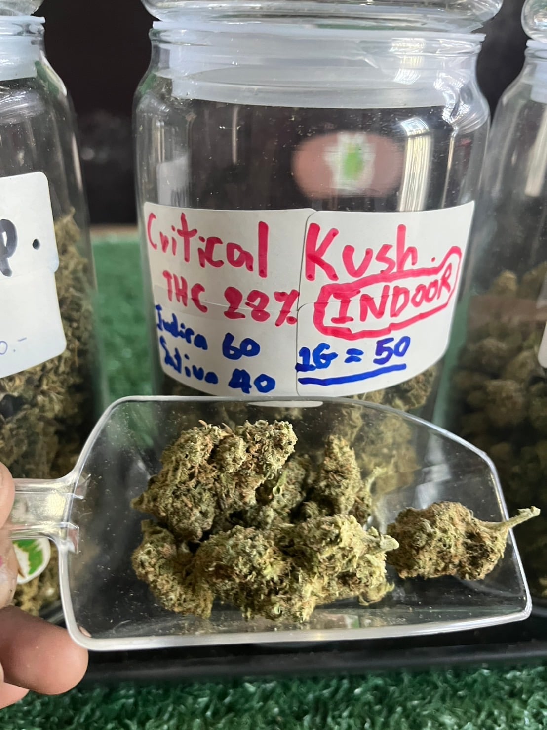 SPACE TRAP Cannabis
