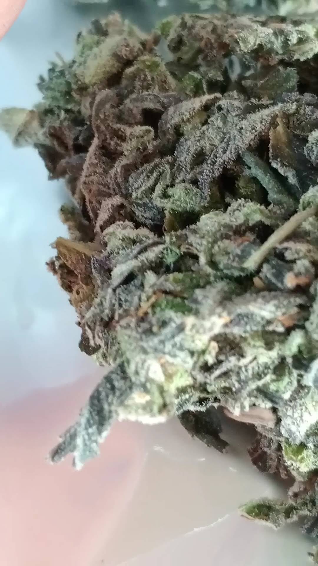 Wednesday Lab