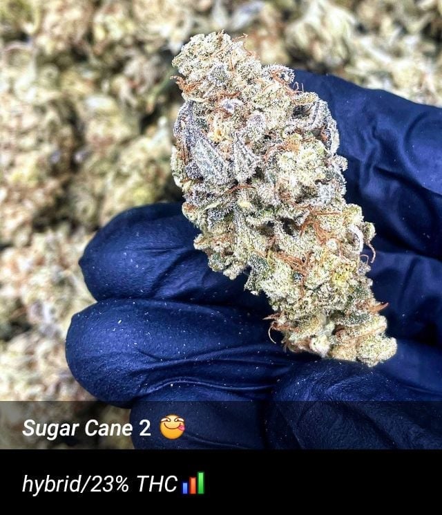 Wannabis