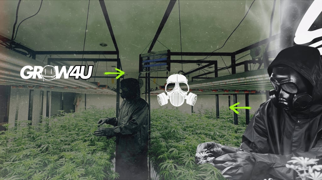 Grow4U