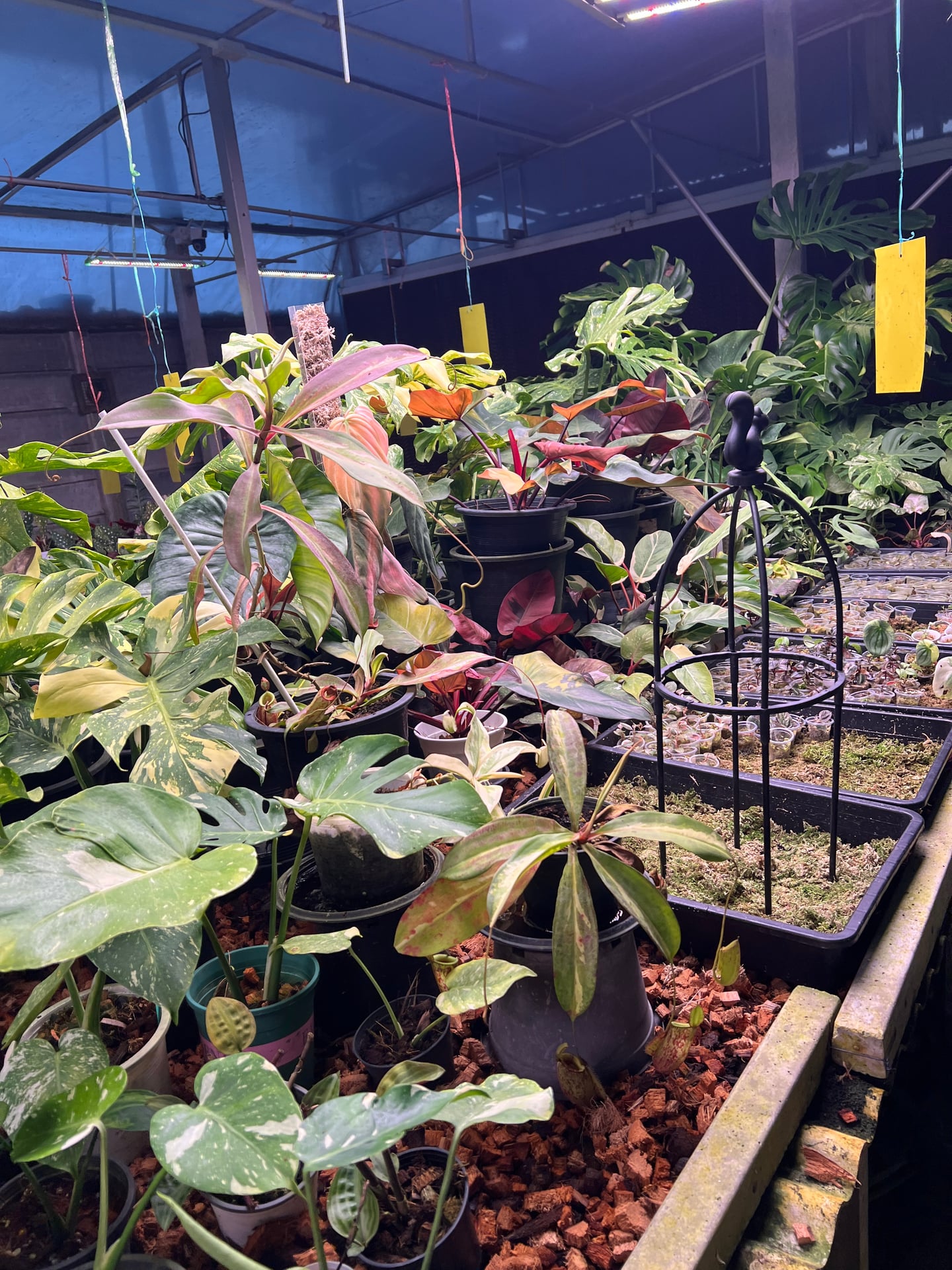 PT Garden
