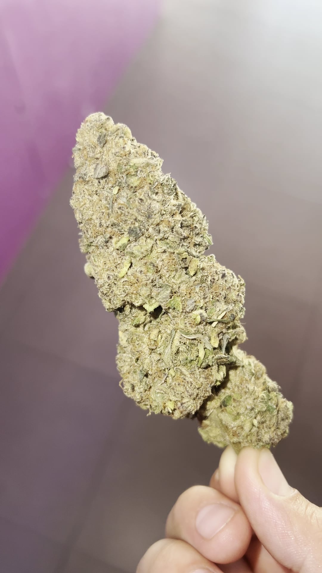 Phuket High Stoners