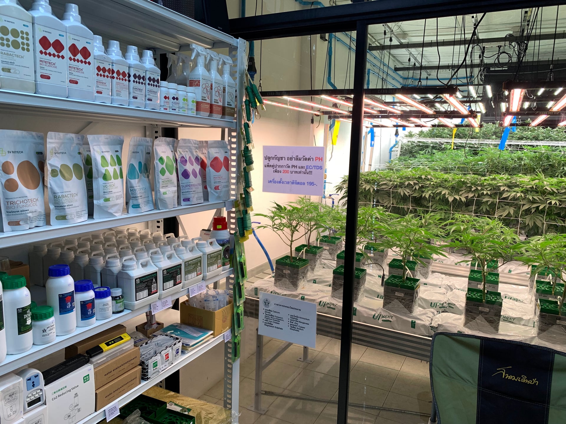 CannDeeBiz