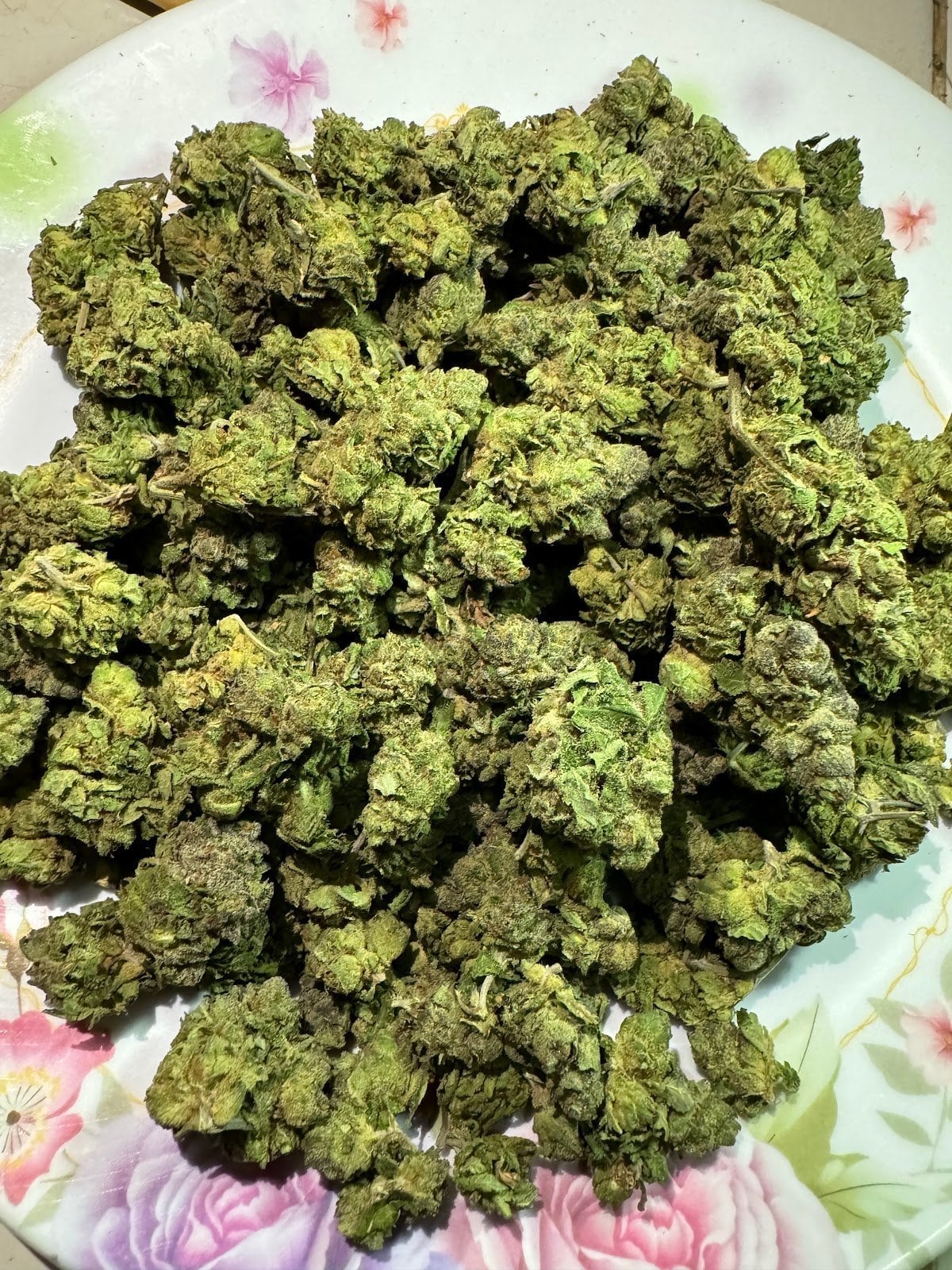 Zenleafshop1