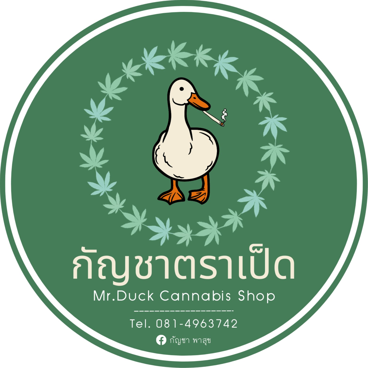 Duck Brand logo