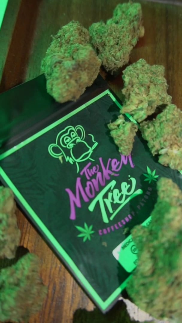 The Monkey Tree