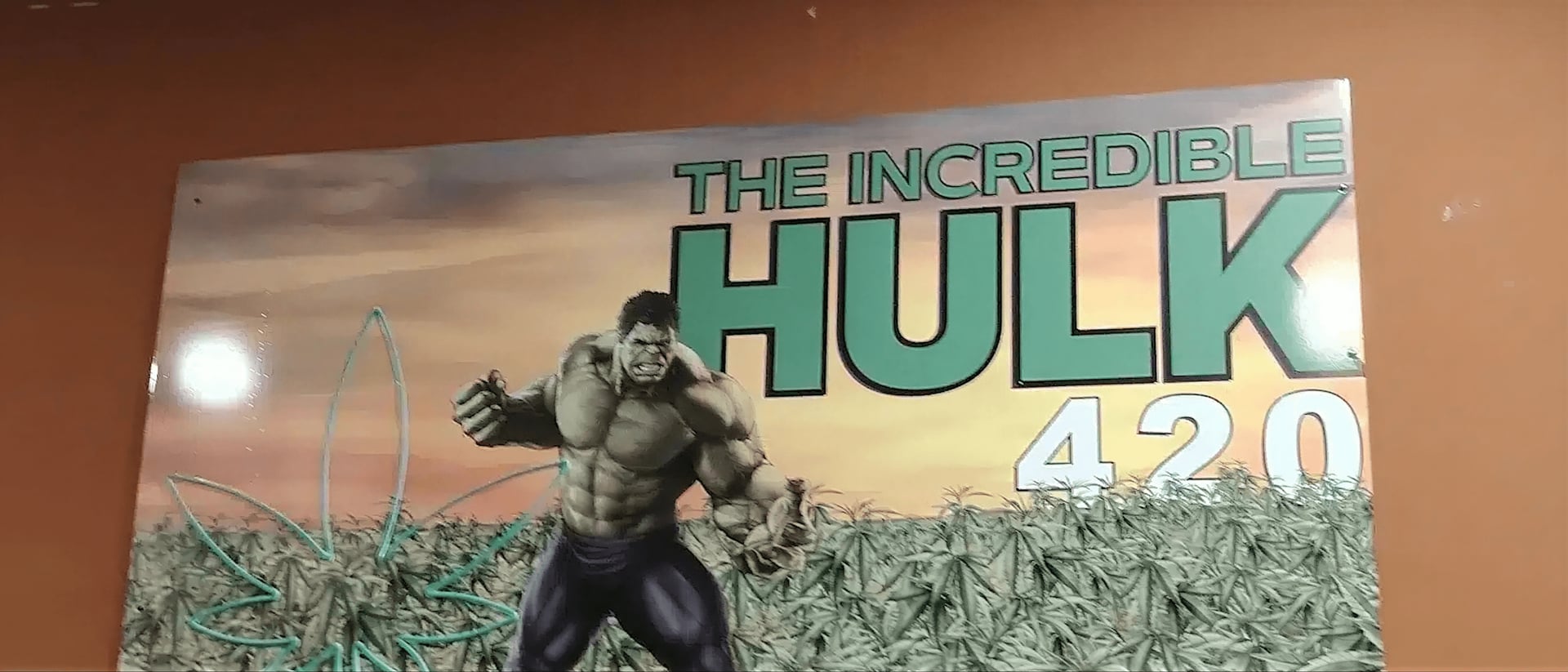 Incredible Hulk 420 hero