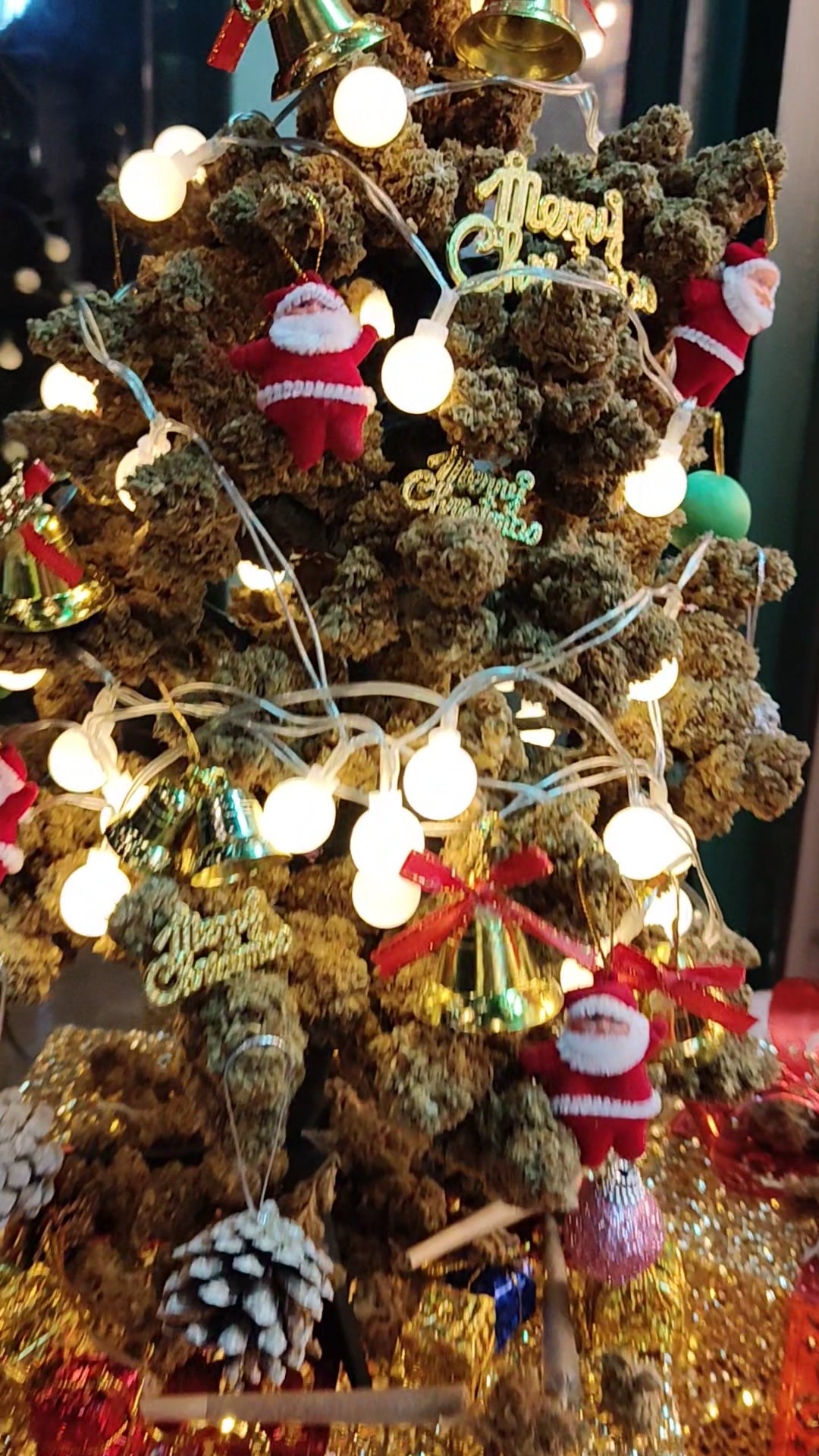 Kokokush