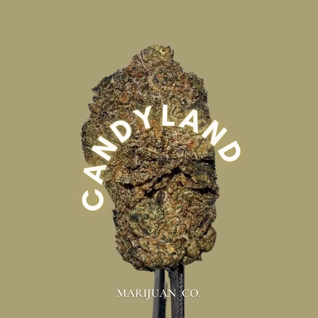 大麻社交俱乐部 Marijuan.Co Phuket 标志