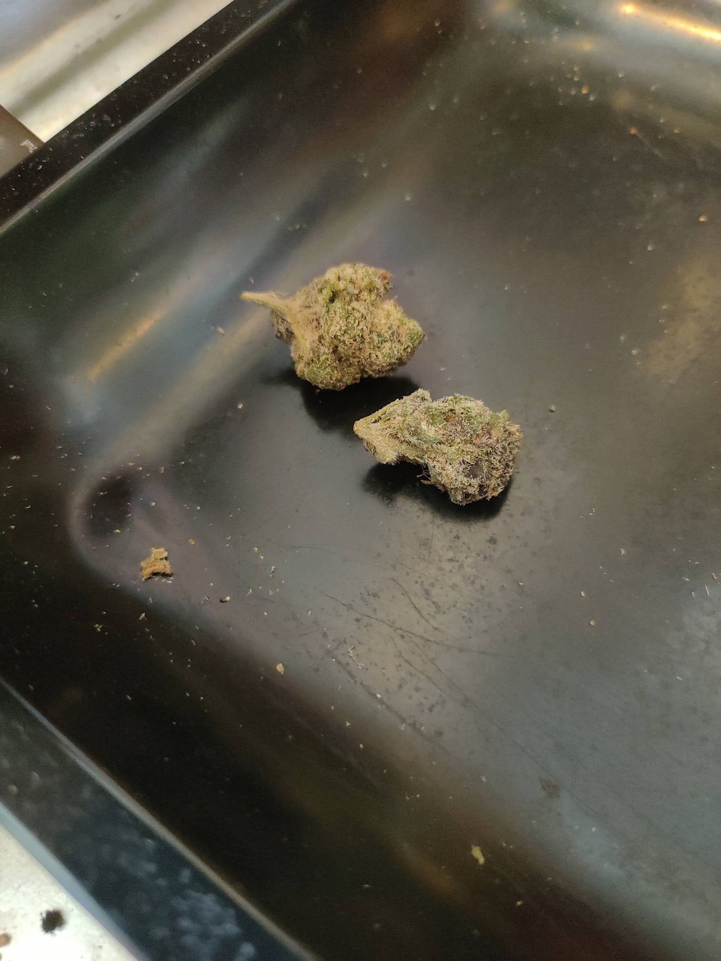 Grow High Shop Near Airport - Weed Marijuana