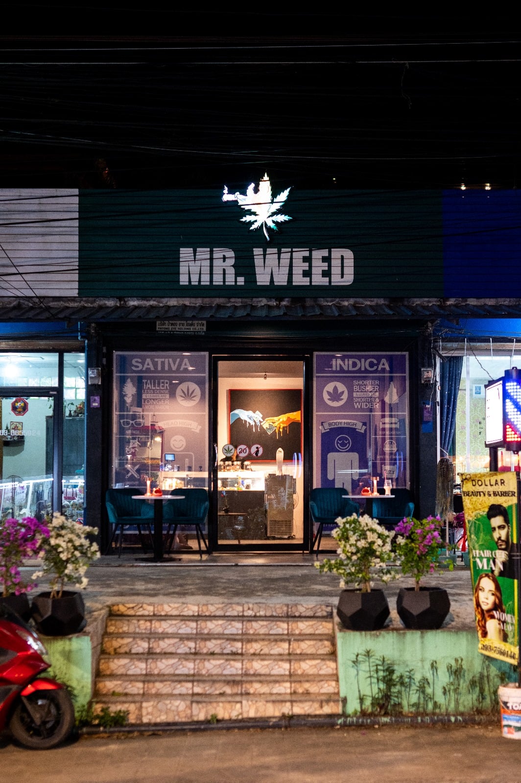 Cannabo Surin