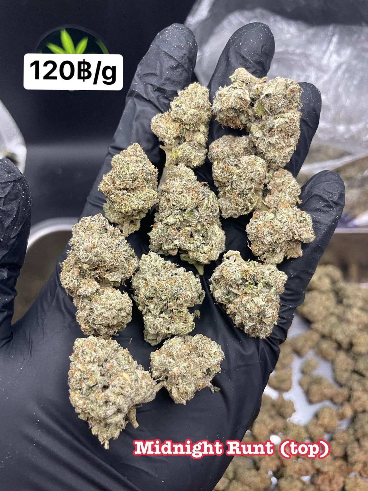 Cannabest Weed Shop Hatyai