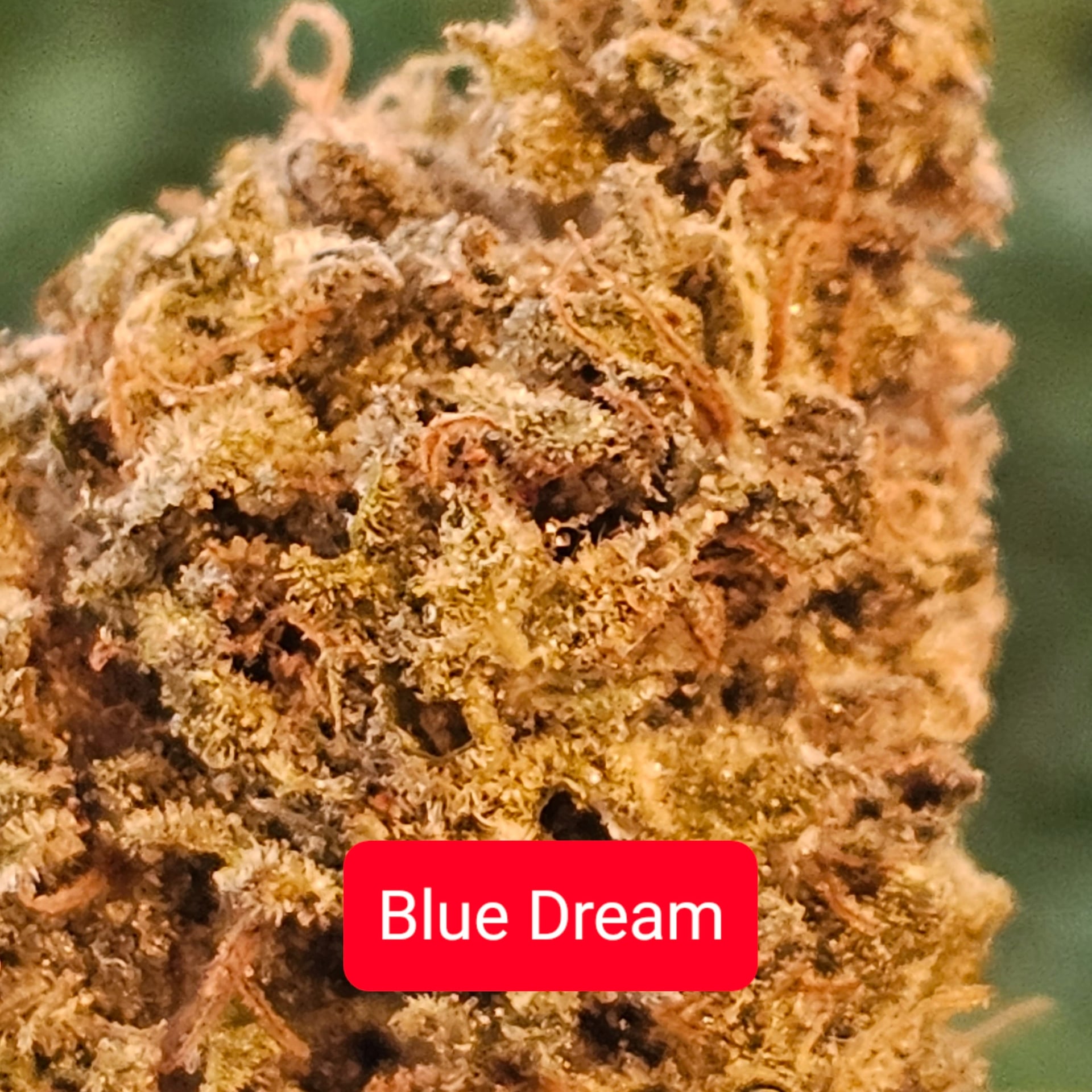 Marijuana Ao-nang