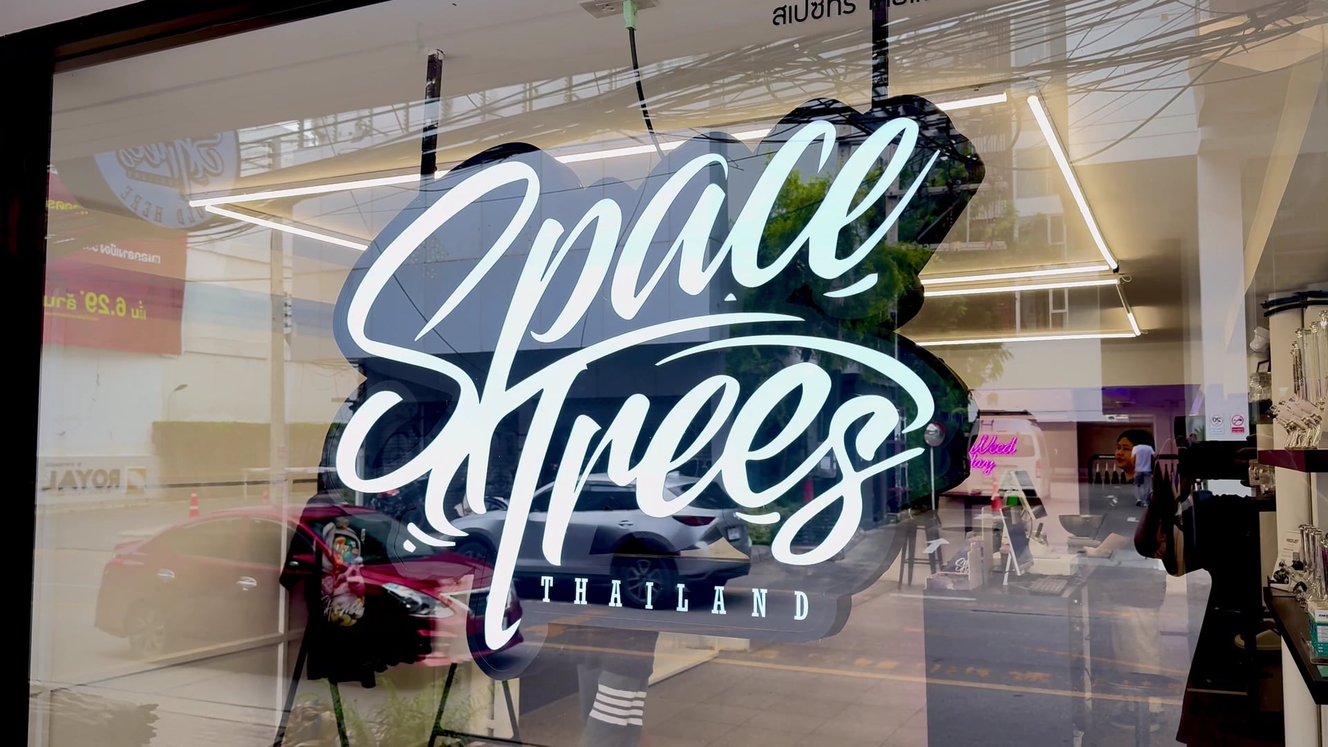 Space Trees: Cannabis Dispensary Chiang Mai