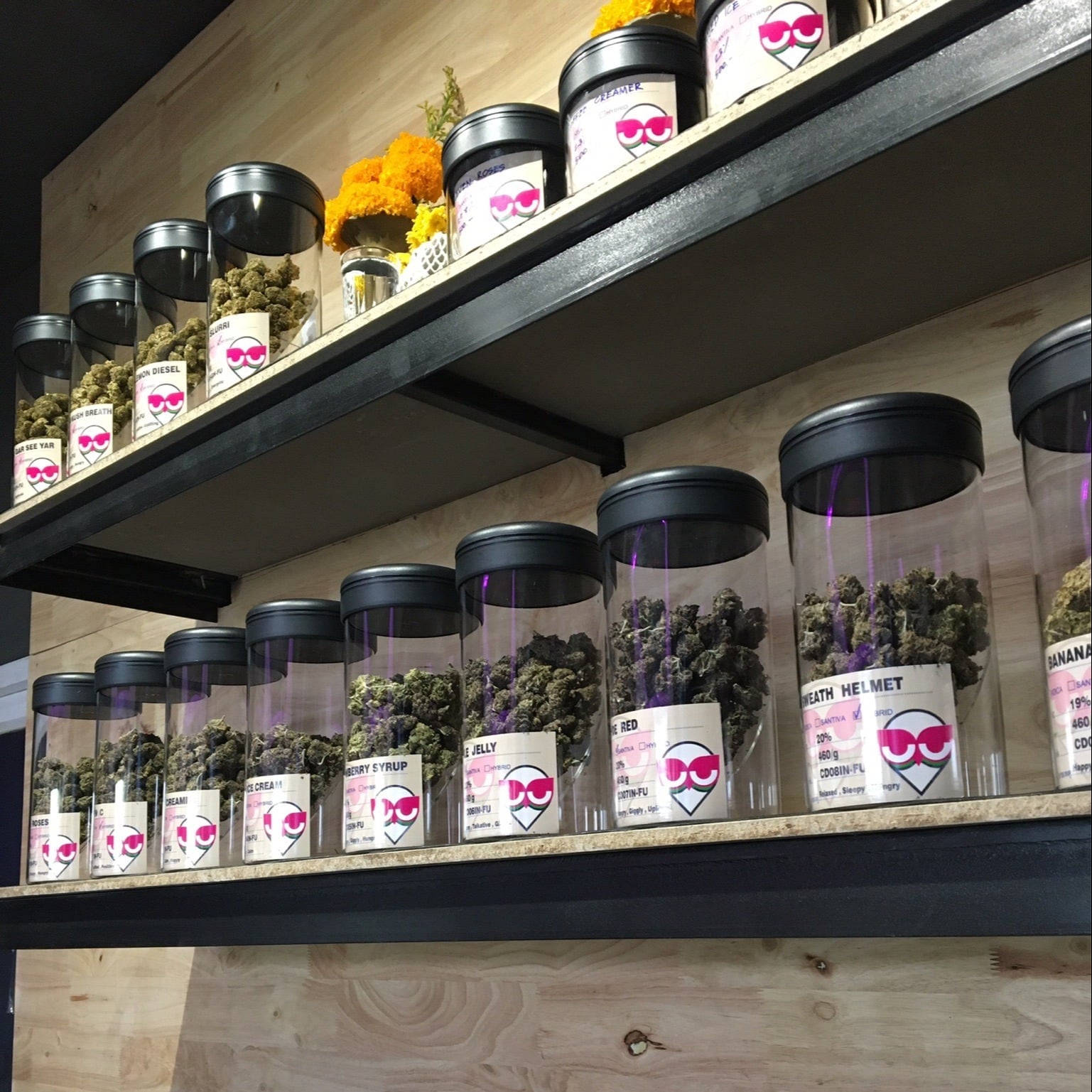HOuSe Of CaNnaBis