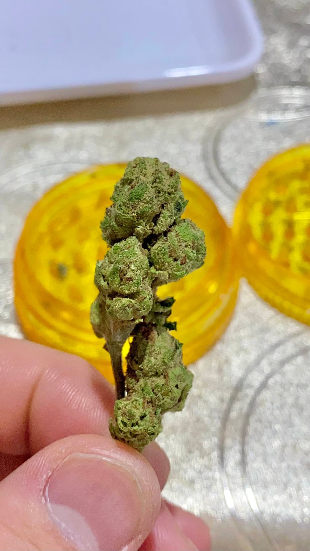 Thai Krush At HappyLand