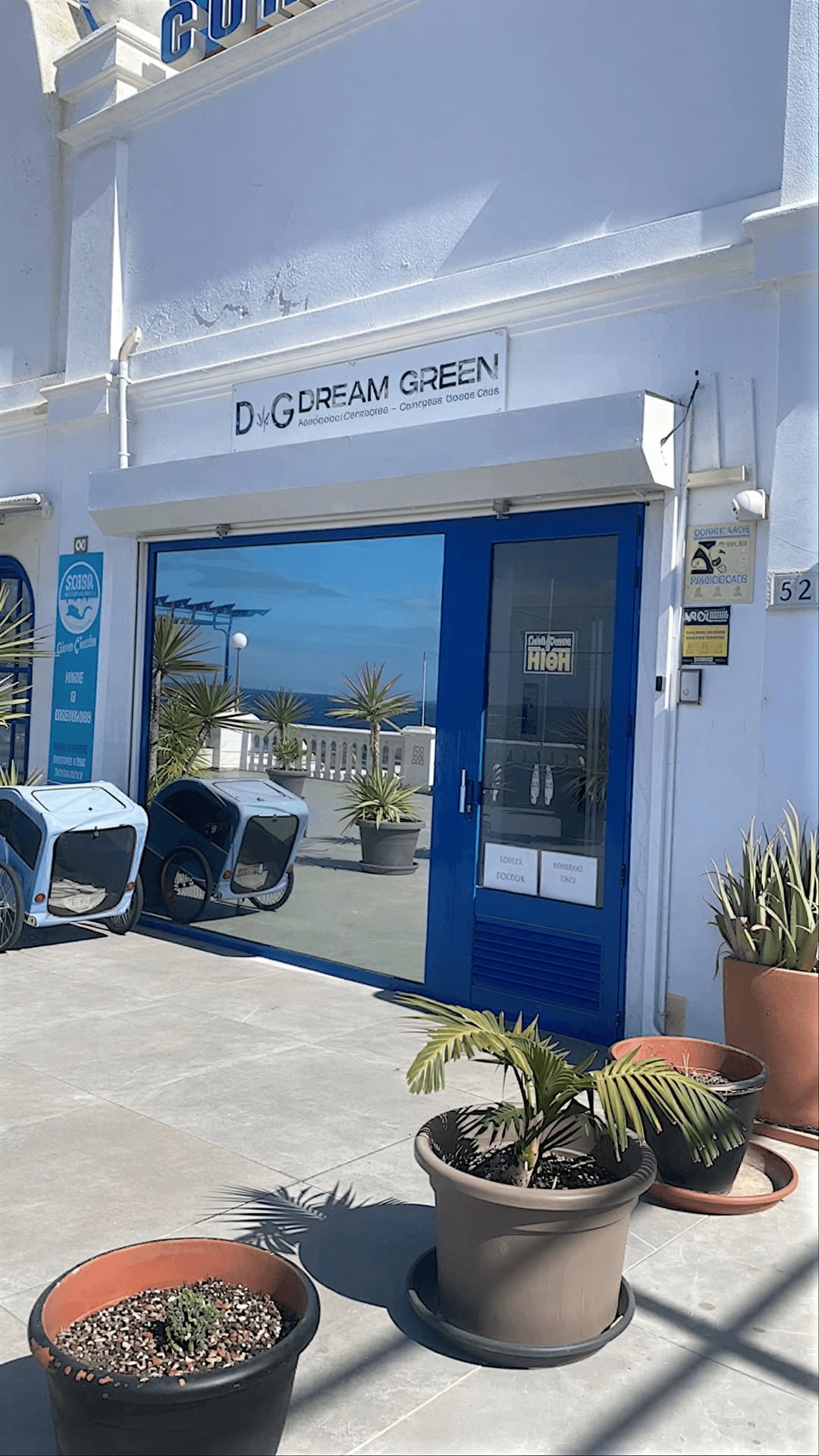 Dream Green