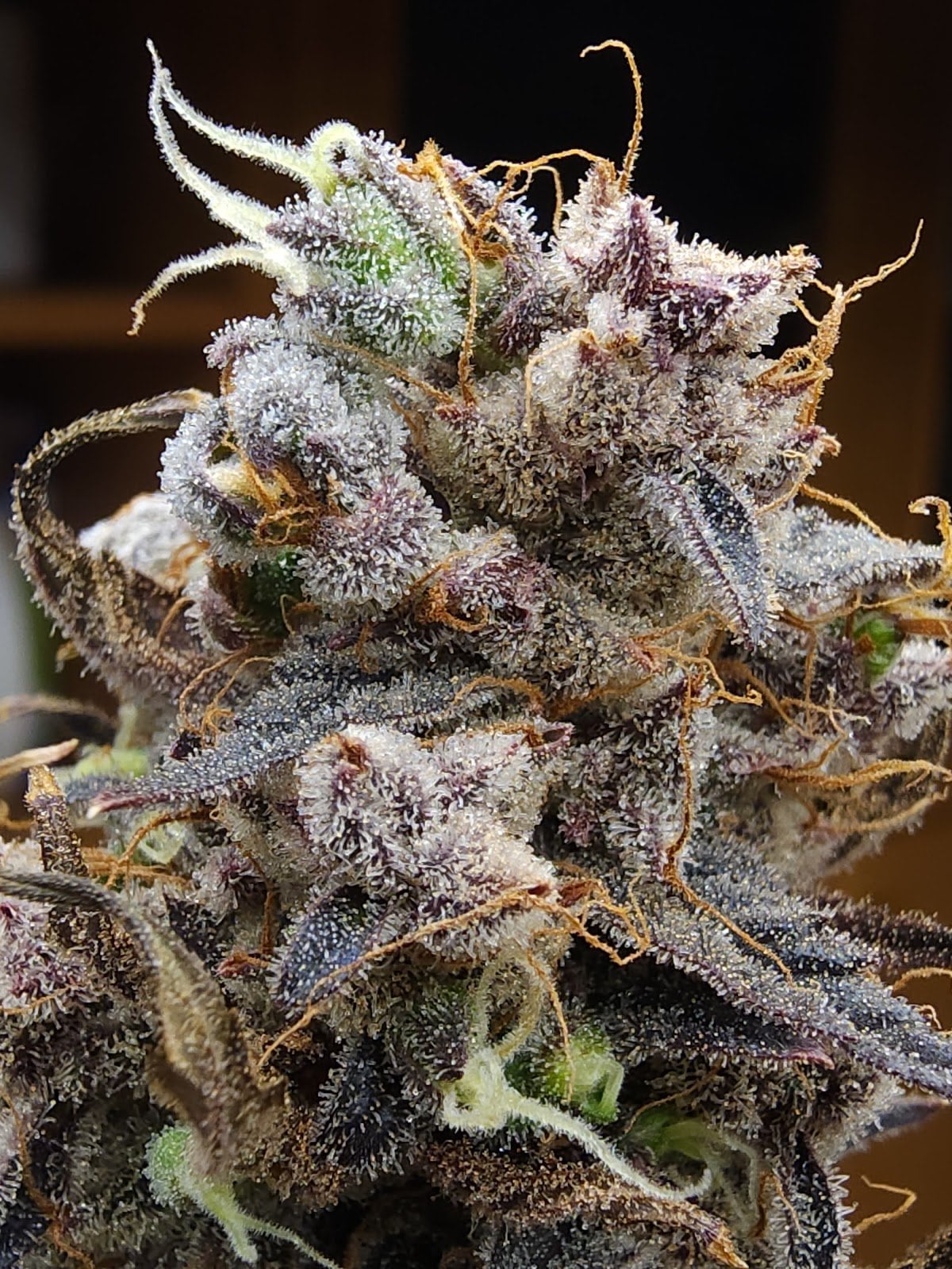 Deva Cannabis