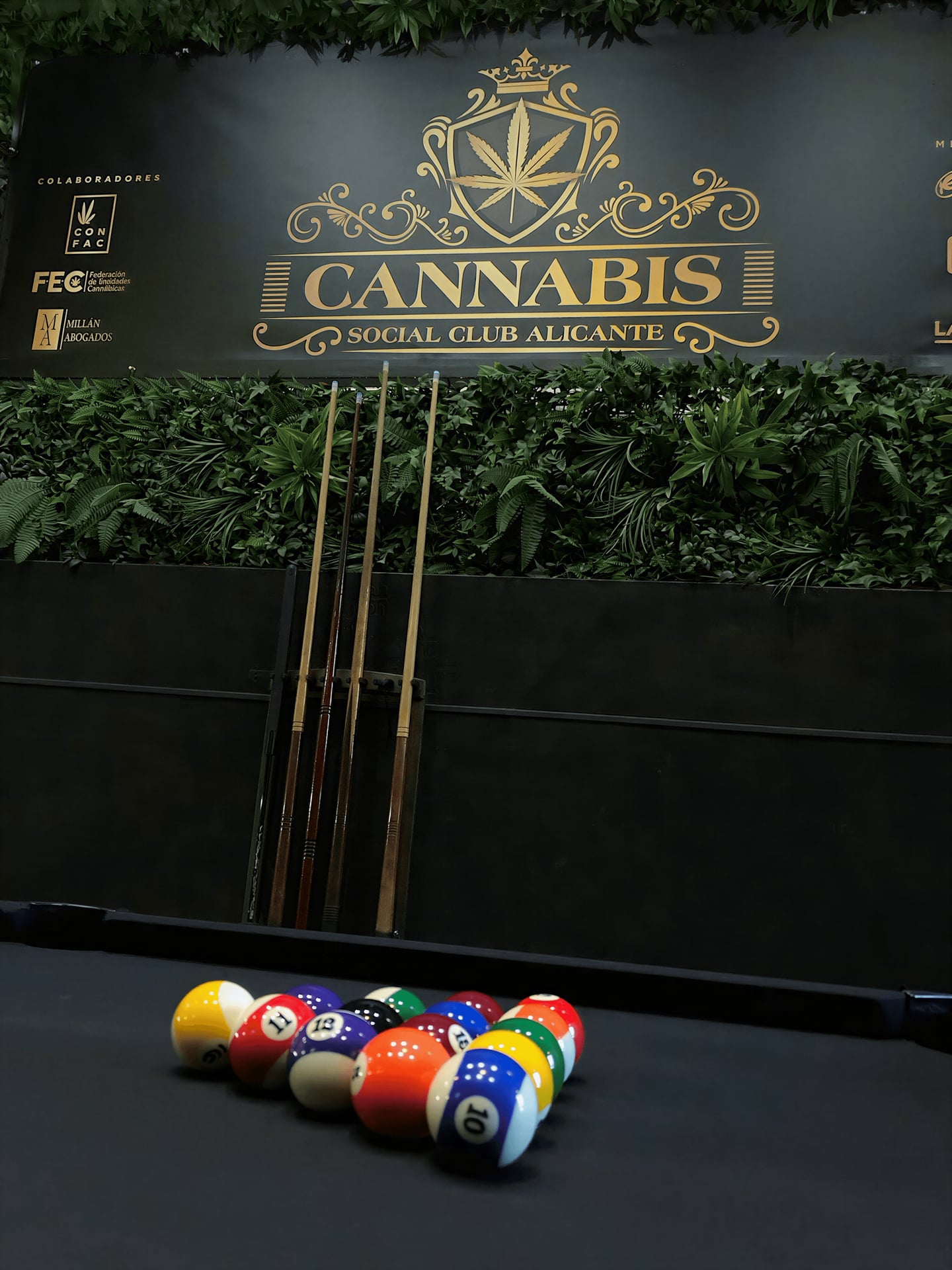 Cannabis Social Club Alicante