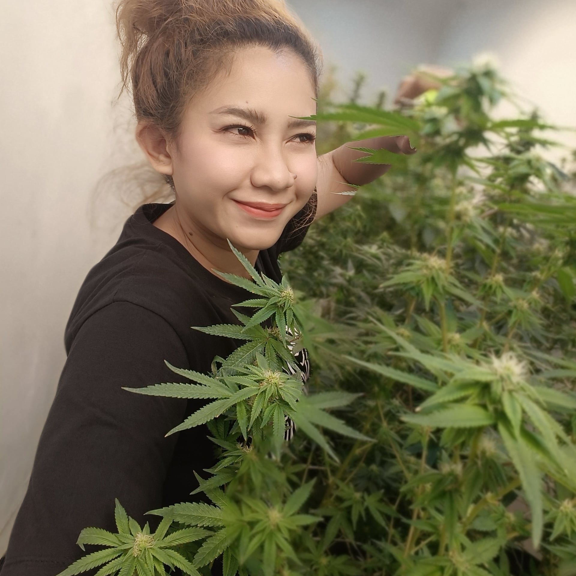 By Taew