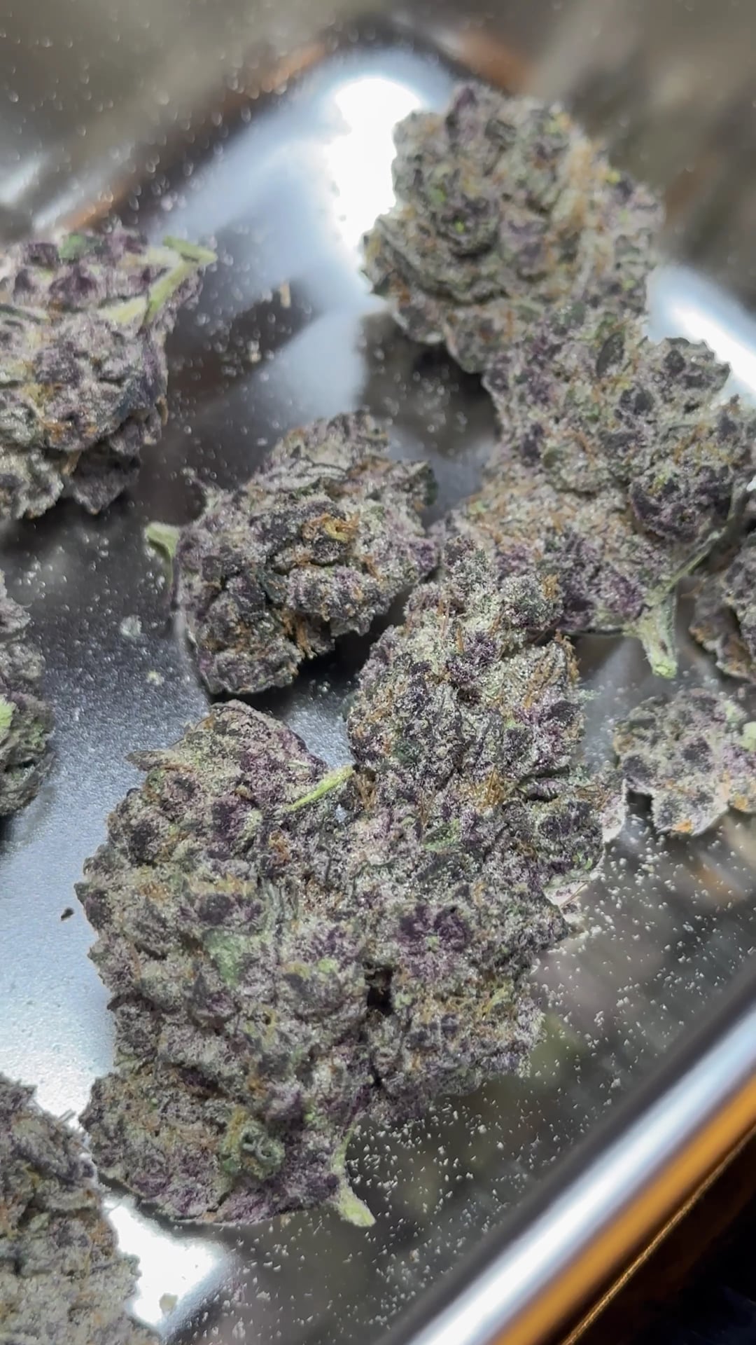 Andaman Genetics - Cannabis Dispensary & Social Club Ao Nang