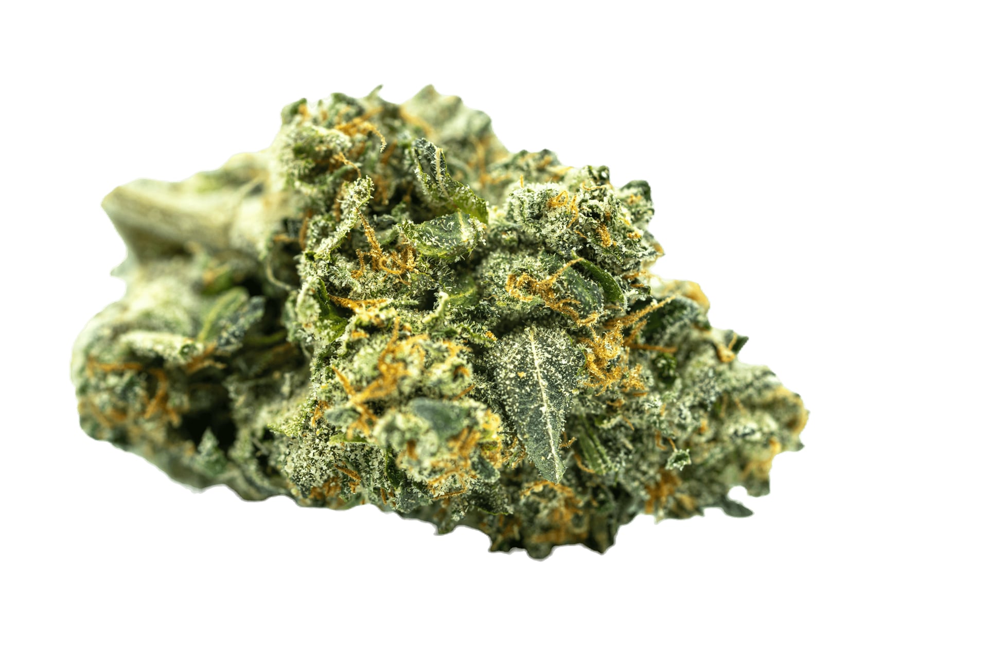 Canaza Weed Shop - Bangkok Rama 9 - Dispensary Cannabis