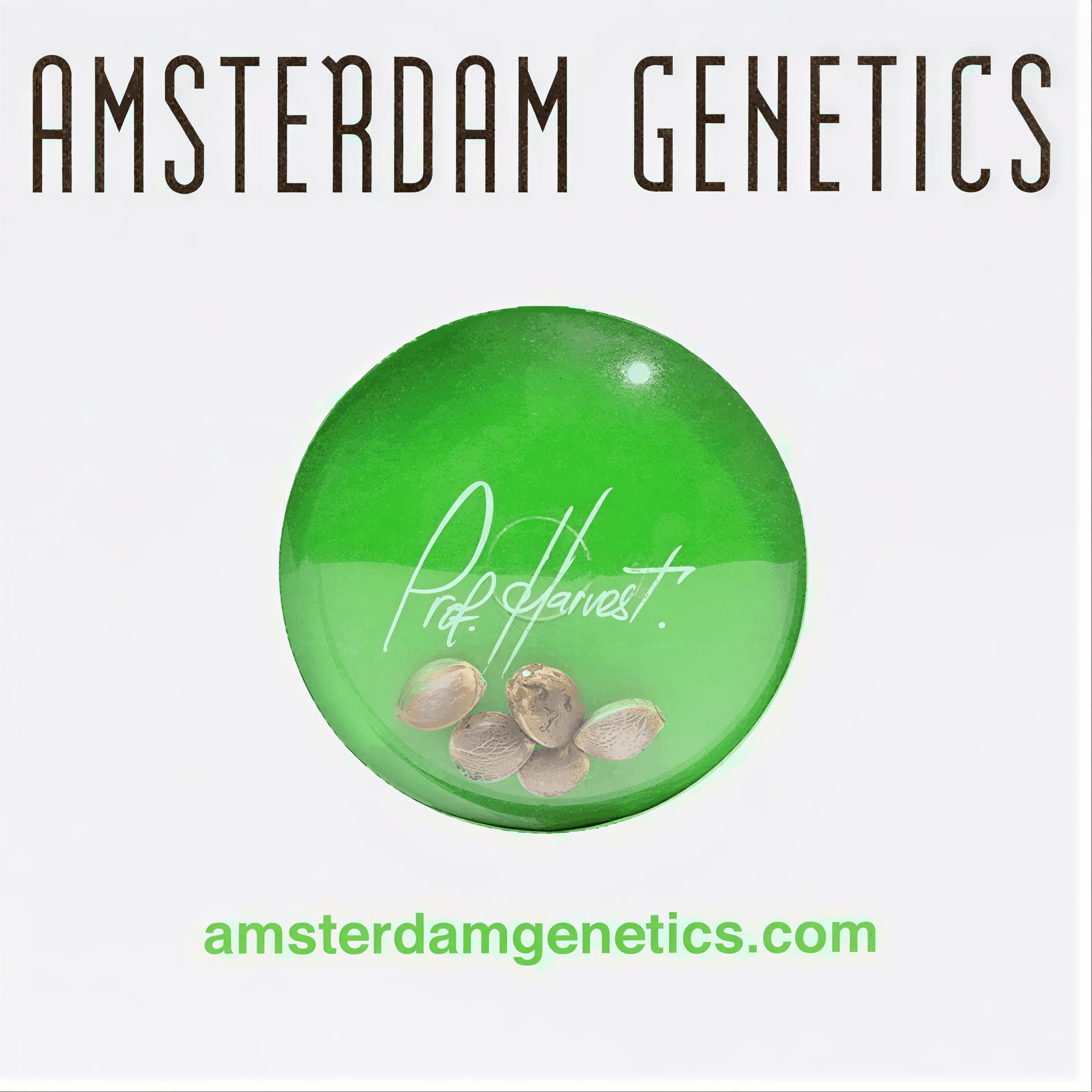 Amsterdam Genetics logo