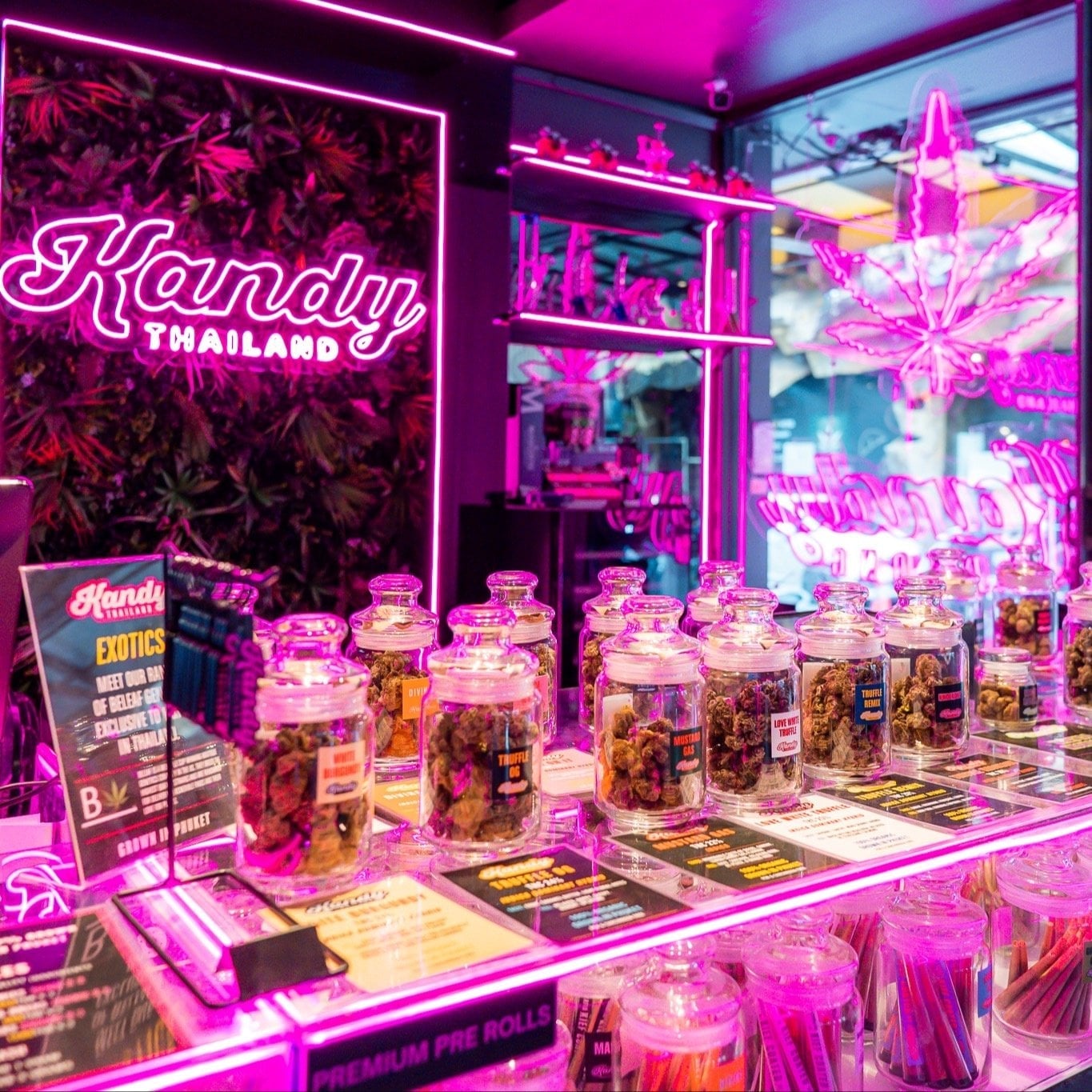Kandy Patong