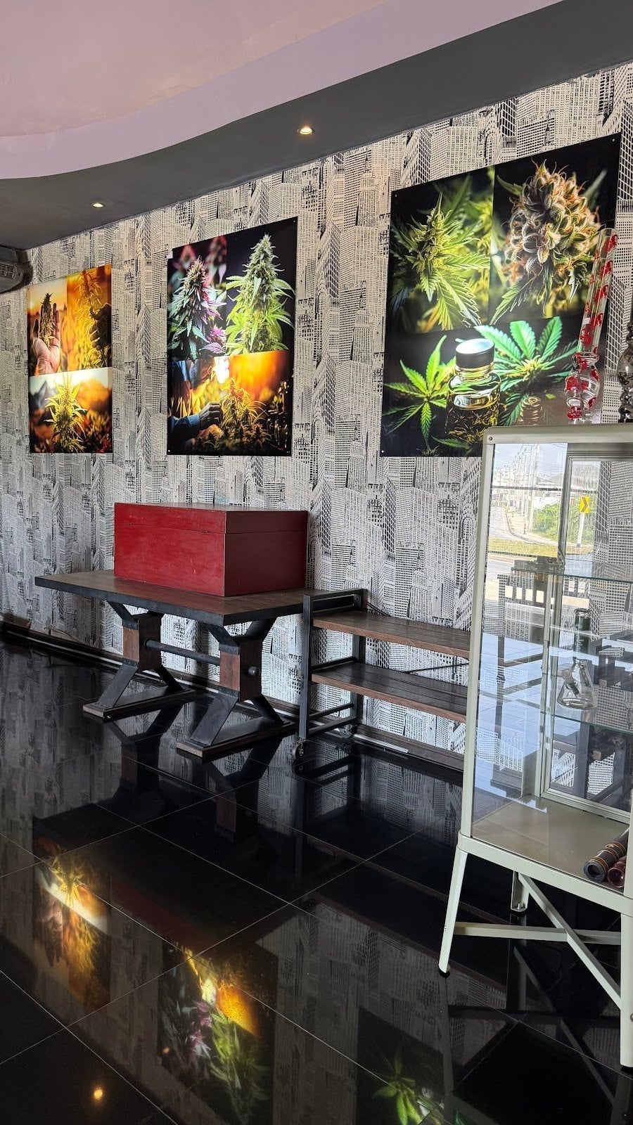 House Of Cannabis