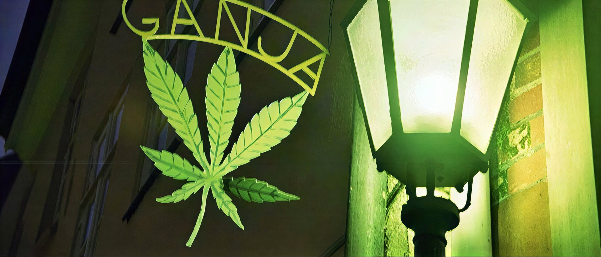 Asociacion Cannabica Ribes hero
