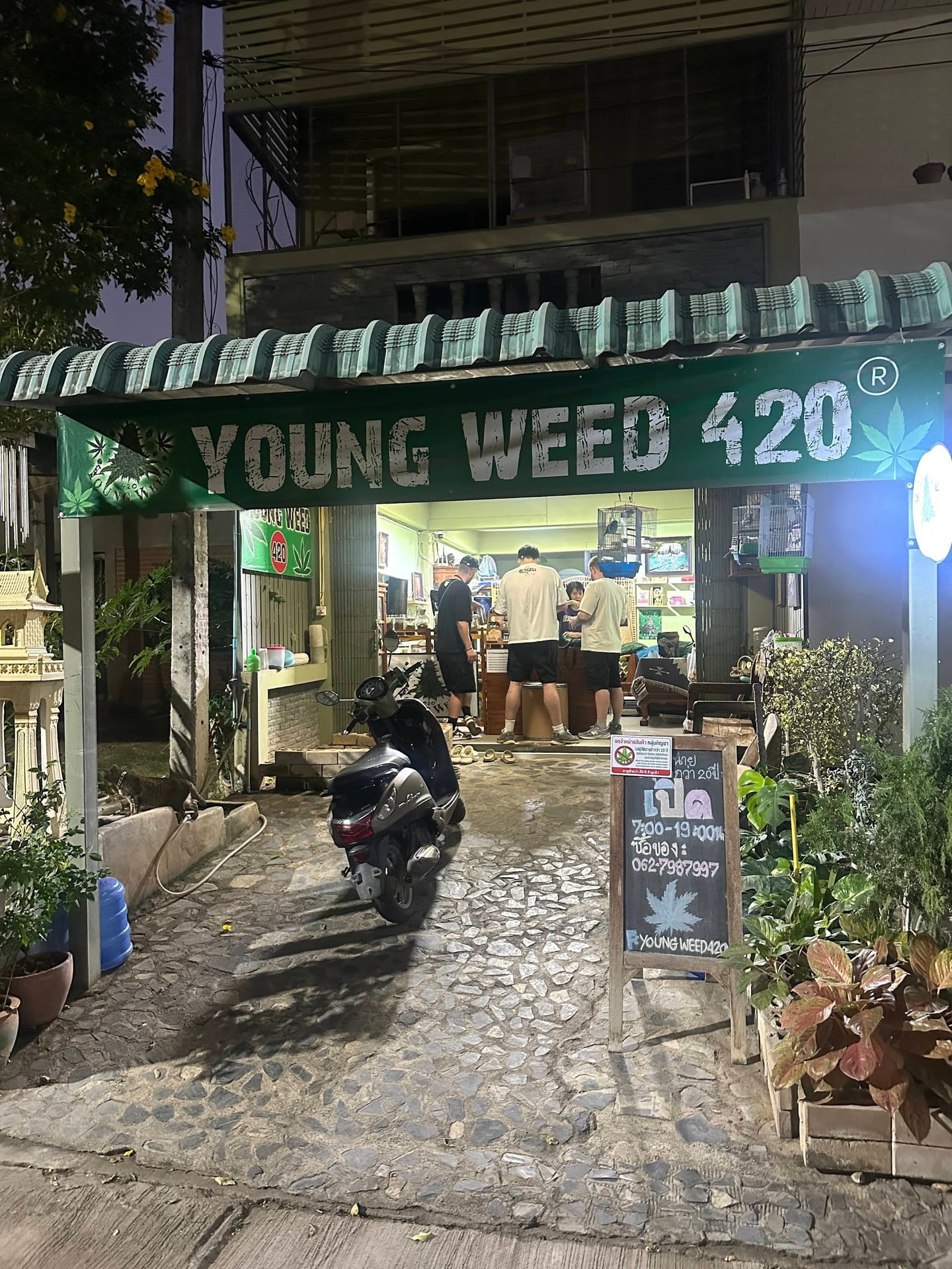 Young Weed