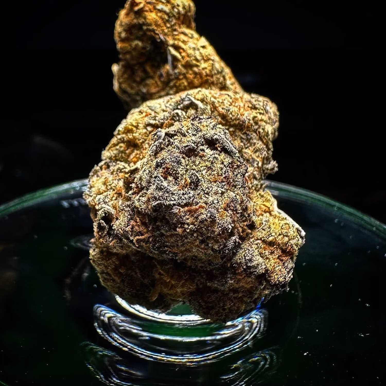 Cannabis Social Club HL Cannabis Patong v Phuket logo