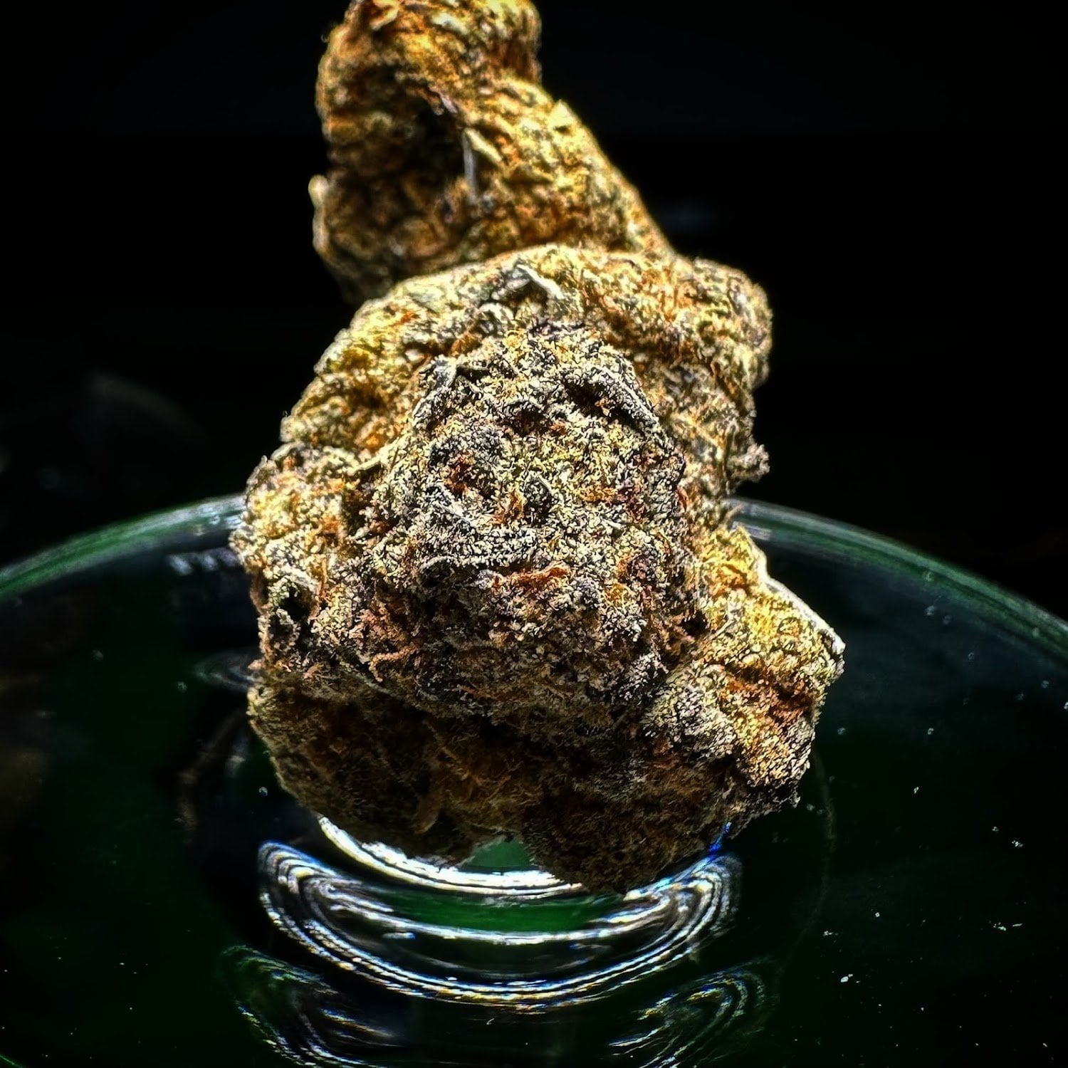 HL Cannabis Patong logo