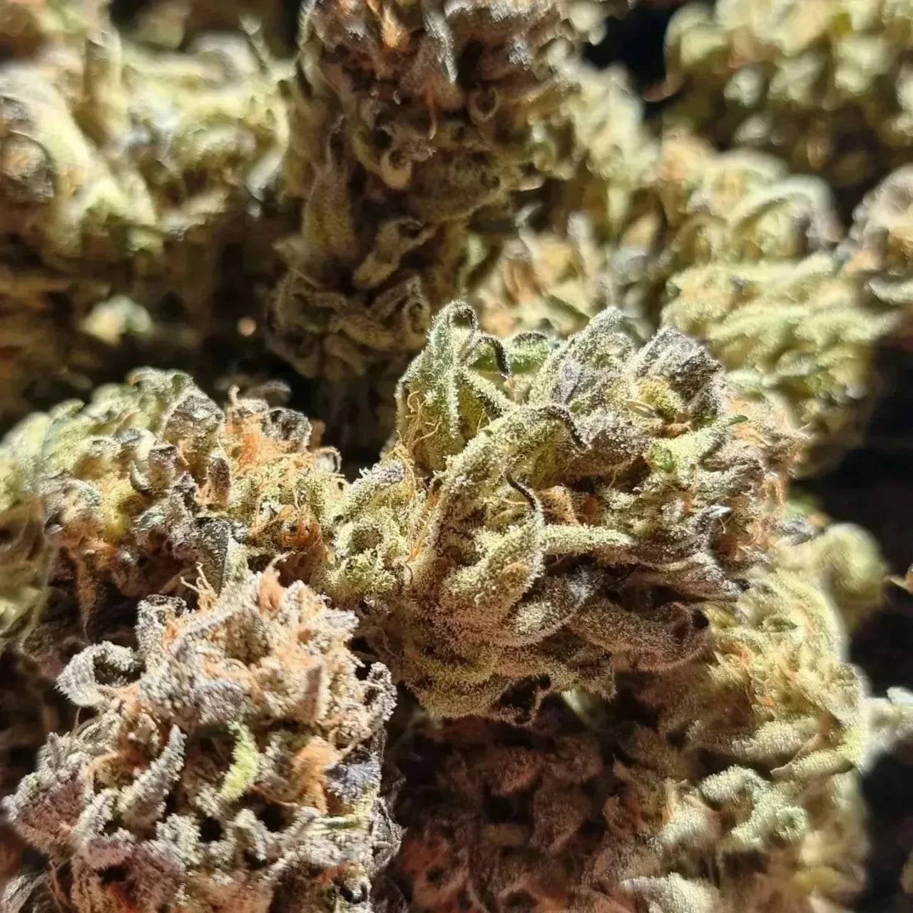 Thai Cannabis Club - Nana Hotel