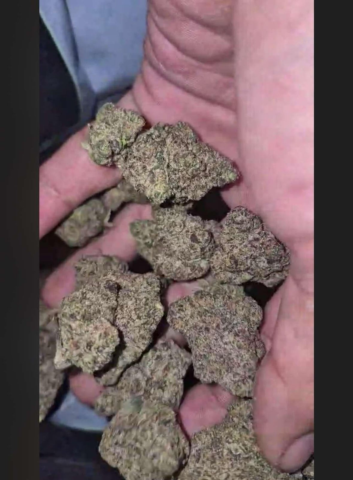 Green Land Exsotic