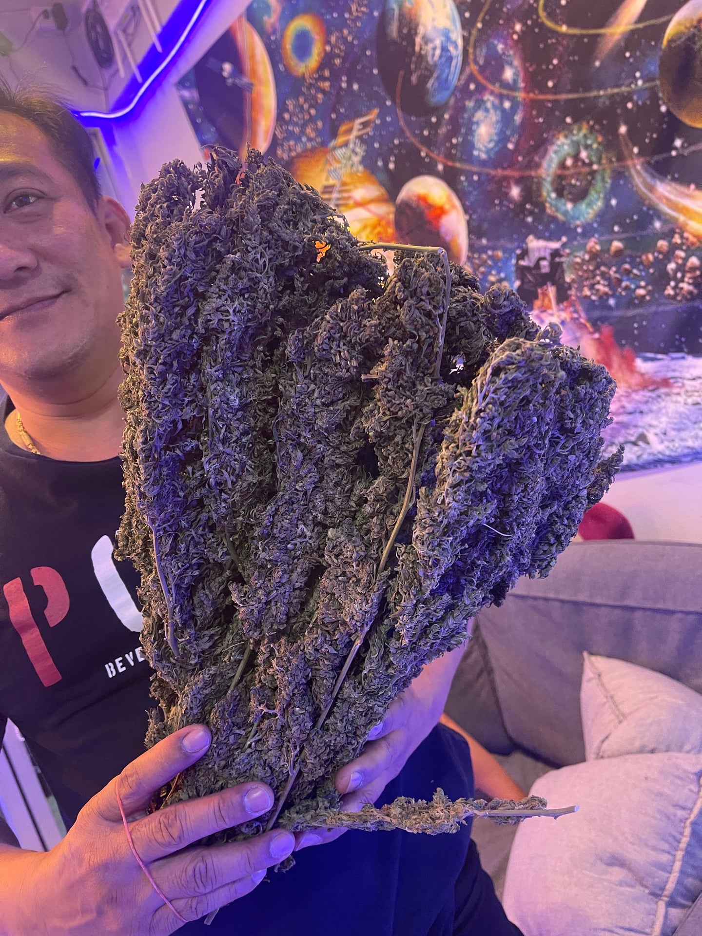Best Weed Cannabis